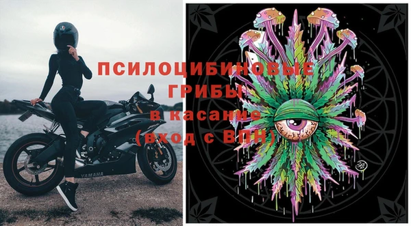 сатива Саяногорск